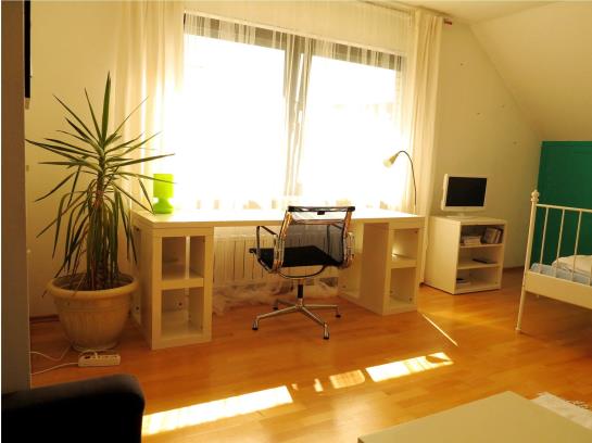 Bed and Breakfast Villa Orchard 18