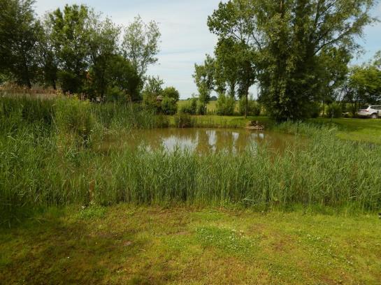 Bed & Breakfast Pension Altes Zollhaus-leybucht 9