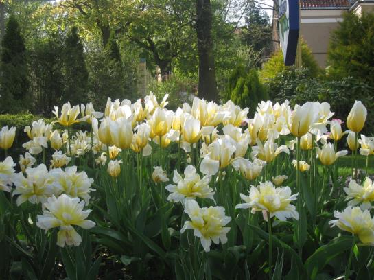 Hotel Oberteich And Oberteich Lux 19