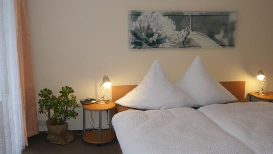 Ferienhotel Carolaruh 13