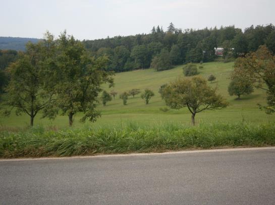Pension (Hôtel basse catégorie) Zum Strauss Landgasthof 2