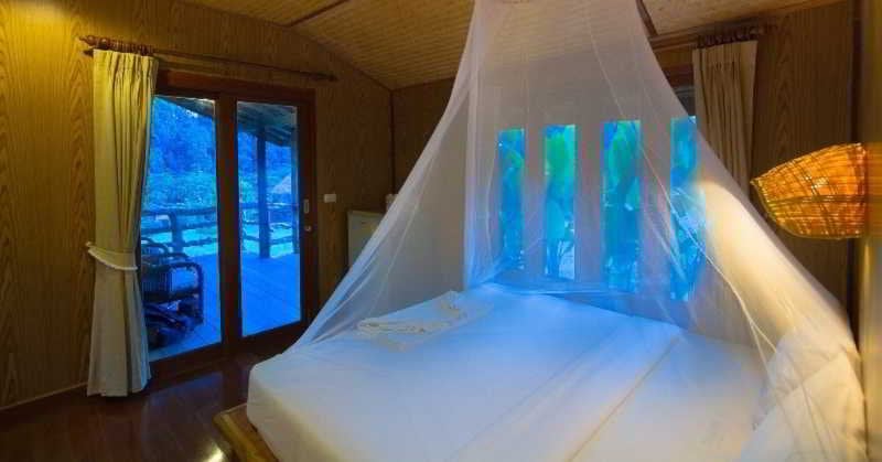 Hotel The Cliff & River Jungle 9