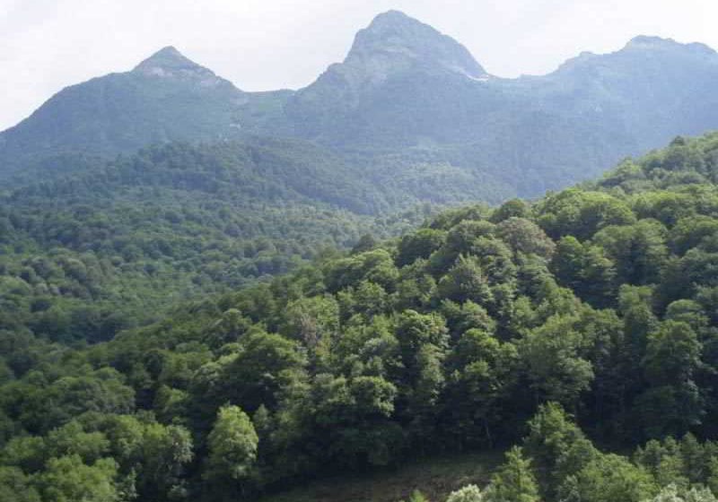 Hotel Guest House Chalet 13