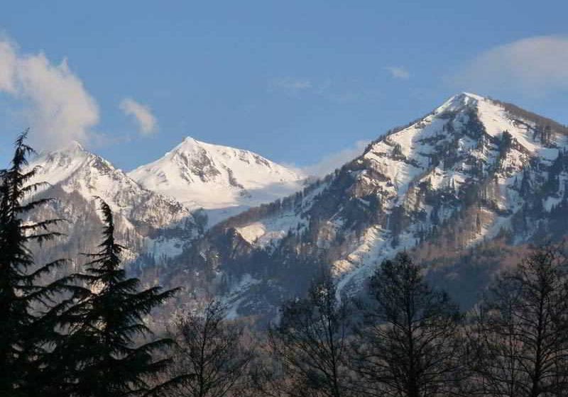 Hotel Guest House Chalet 6