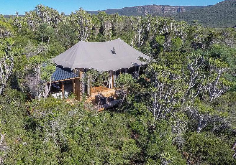 Hotel Kariega Game Reserve - Settlers Drift 13