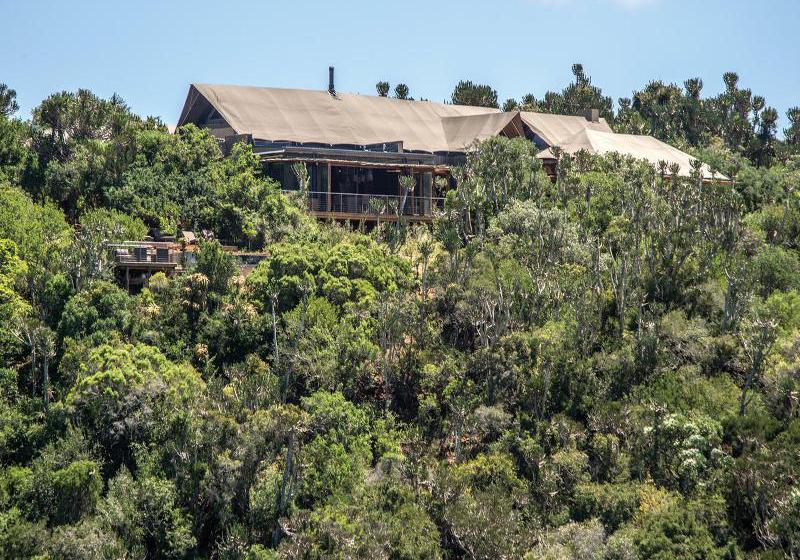 Hotel Kariega Game Reserve - Settlers Drift 3