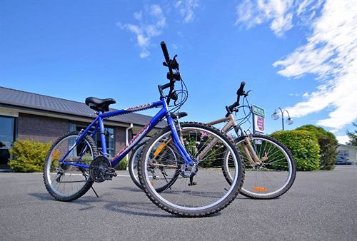 Aston Court Motel Blenheim 6