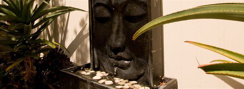 Hotel Lantana Lodge International Backpackers 1