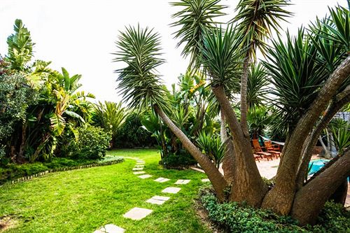 Pension Secret Garden Guesthouse 12