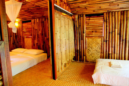 Hotel Khao Sok Tree House 11