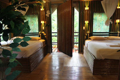 Hotel Khao Sok Tree House 12