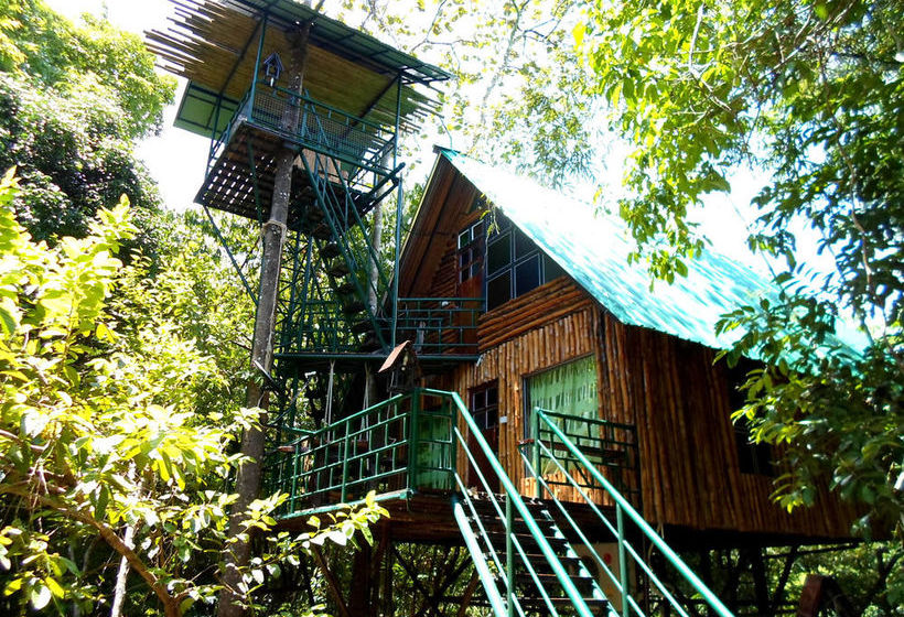 Hotel Khao Sok Tree House 4