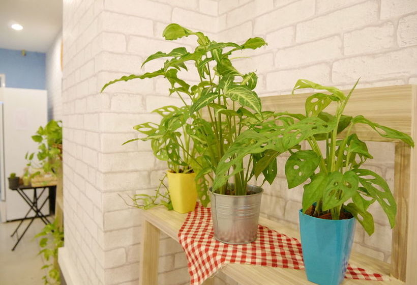 Hotel Sleep at Phuket 3