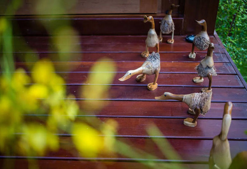 Hotel Beach Natural Resort 13