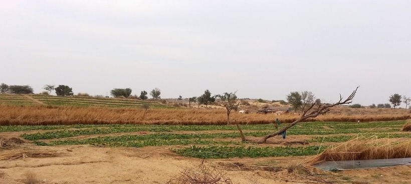 Hotel Umaid Safaris & Desert Lodge 19