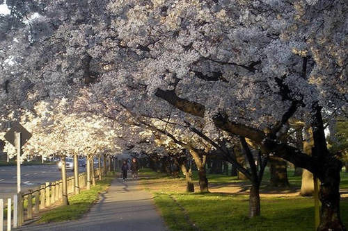 Christchurch Holiday Cottages 19