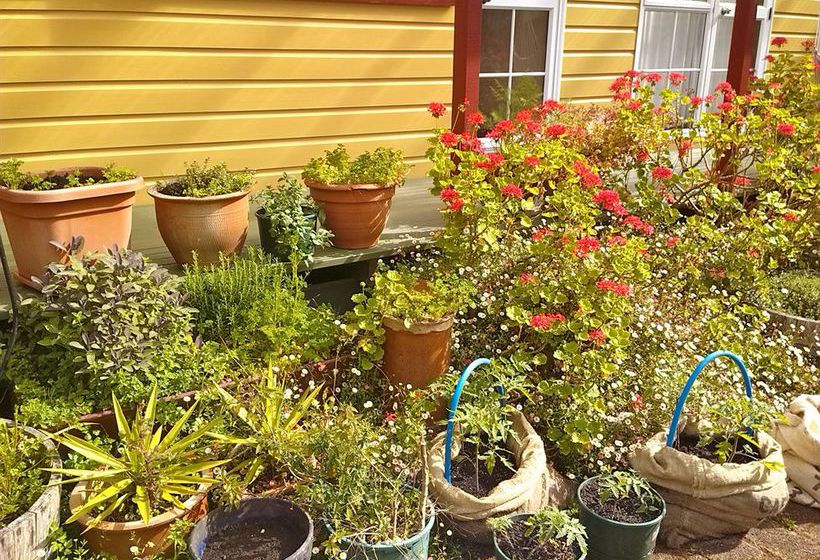 Bazil's Hostel & Surf School 12