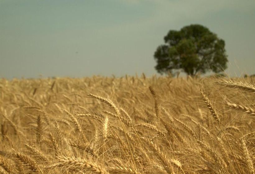 Hotel Hyatt Regency Ludhiana 20