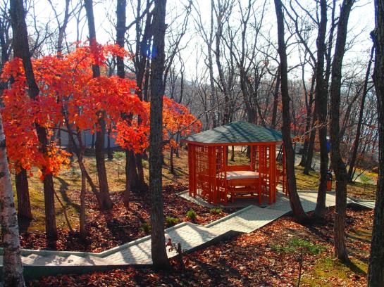 Hotel Russian Renaissance 6