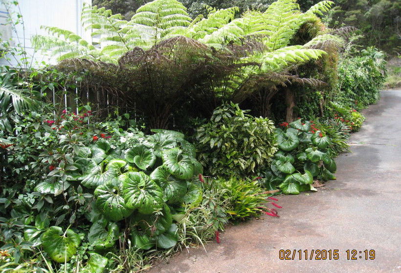 Alfa Boutique Motel 11