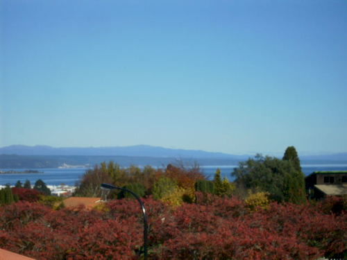 Hotel Falls Chateau 14