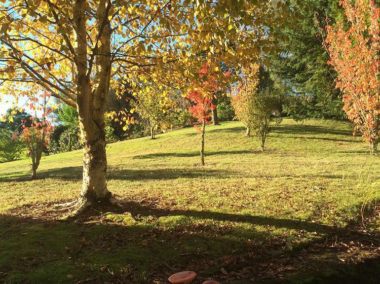 Hotel Kauri Point Homestay 20