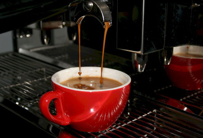 Hotel Kauri Point Homestay 7