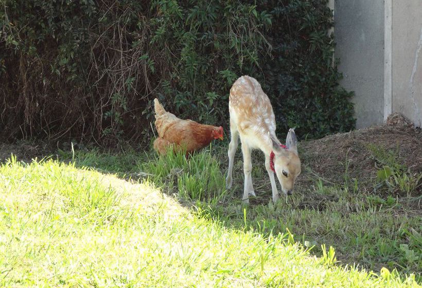 Hostel 42b College House 12