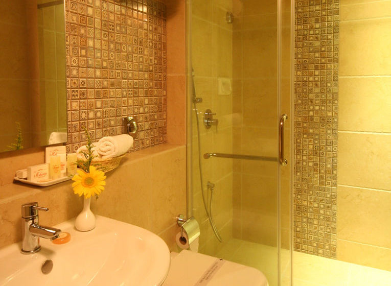 Hotel The Maharaja 17