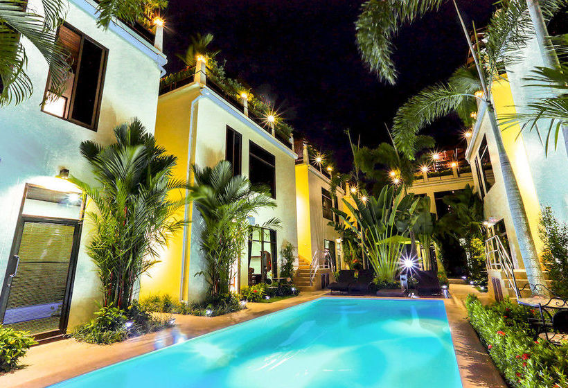 Hotel Palm Oasis Boutique 2