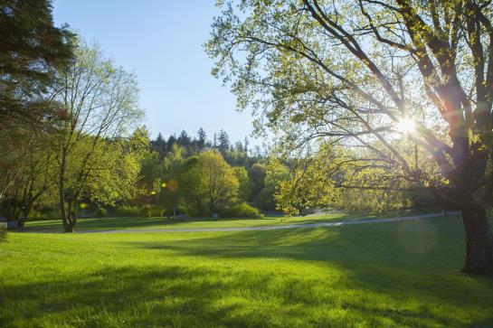 Schwitzer's Hotel am Park 11