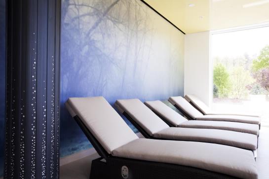 Schwitzer's Hotel am Park 13