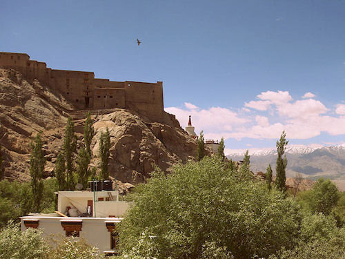 Hotel Grand Himalaya 14