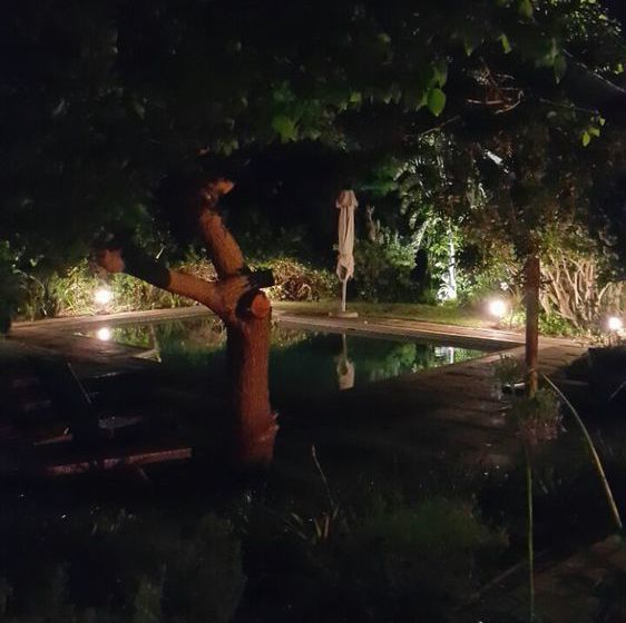 Pensión Albourne Guest House 20