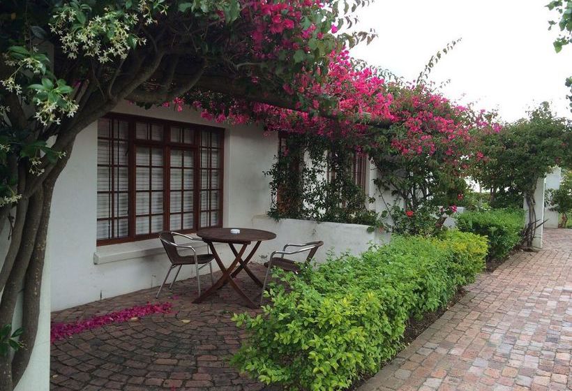 Pensión Albourne Guest House 9