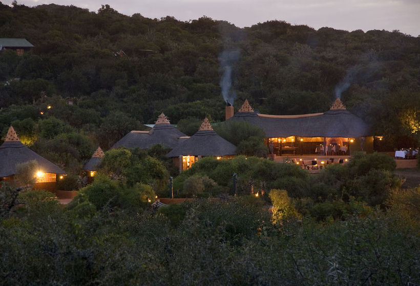 Hotel Amakhala Game Reserve - Safari Lodge