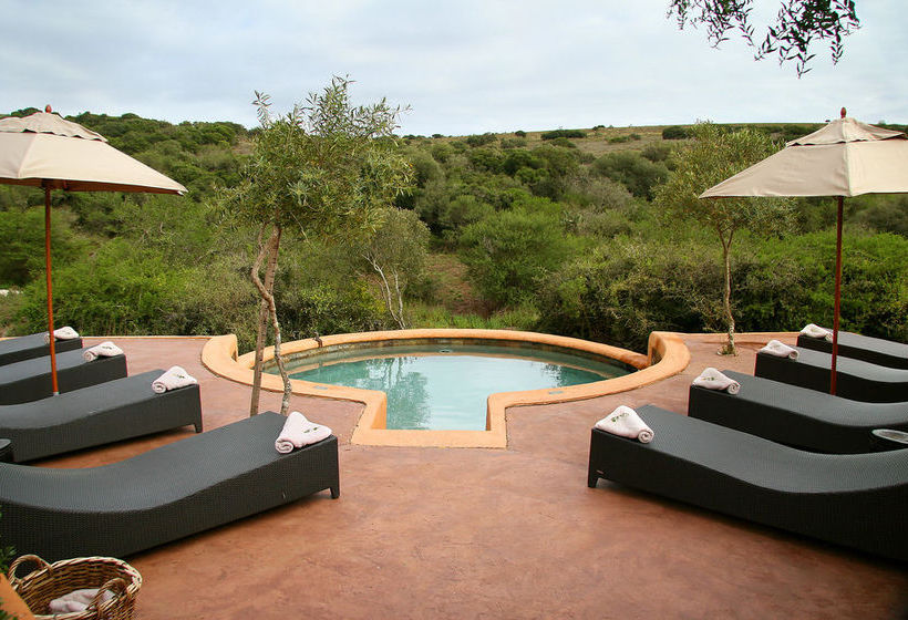 Hotel Amakhala Game Reserve - Safari Lodge 5