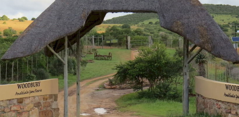 Hotel Amakhala Game Reserve - Woodbury Tented Camp 12