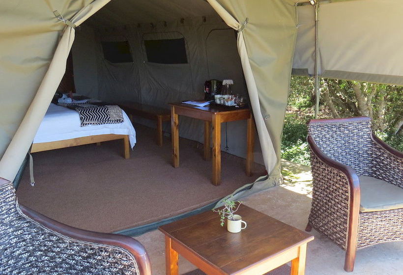 Hotel Amakhala Game Reserve - Woodbury Tented Camp 20