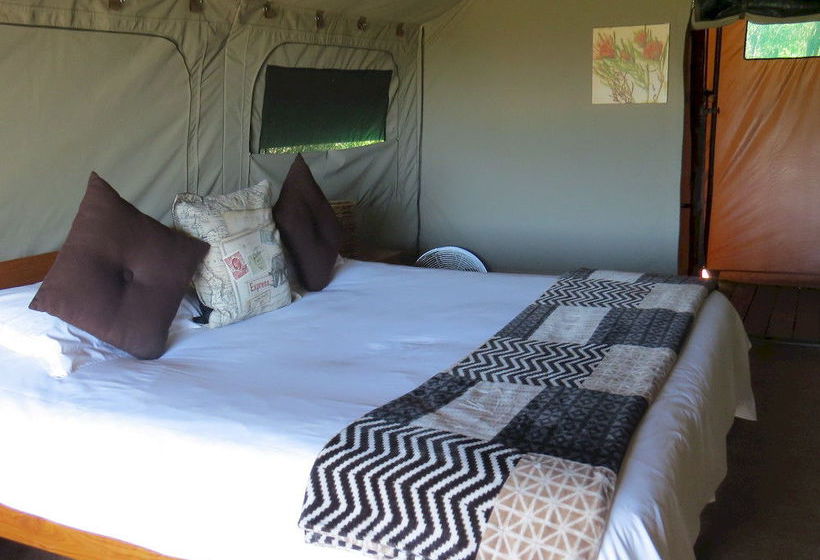 Hotel Amakhala Game Reserve - Woodbury Tented Camp 3