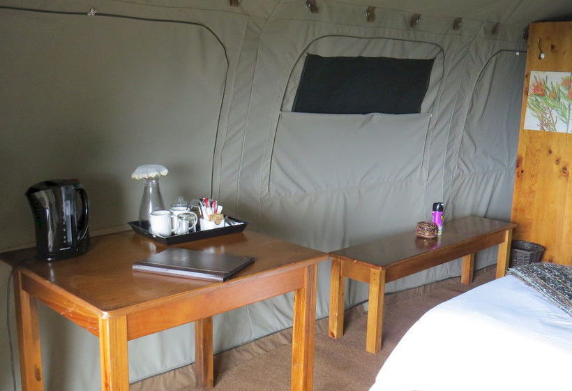 Hotel Amakhala Game Reserve - Woodbury Tented Camp 5
