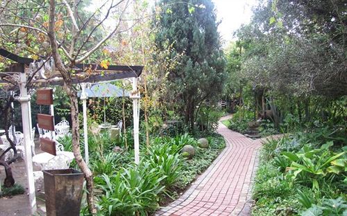 Hotel Cranberry Cottage 16