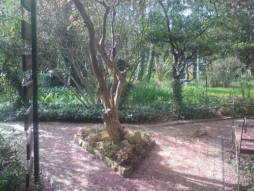 Hotel Cranberry Cottage 18