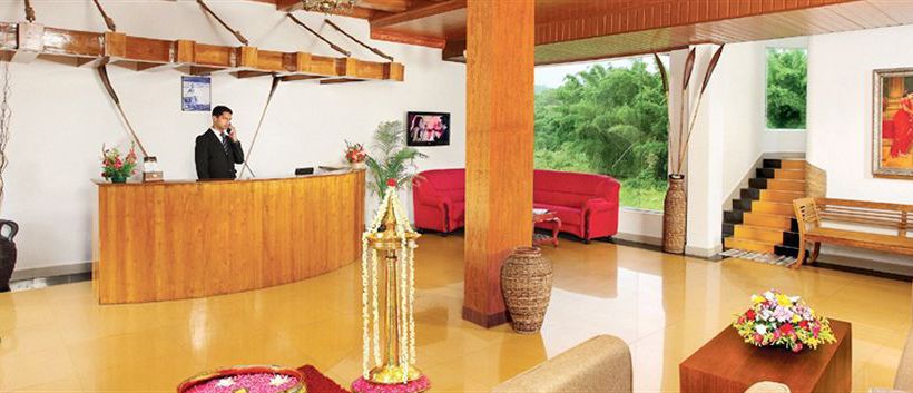 Hotel Jungle Park Resort 4