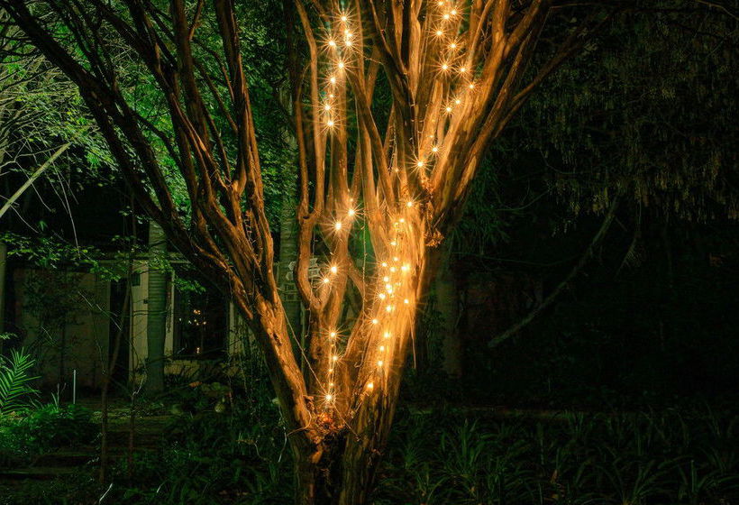 Pensione Foxwood House 10