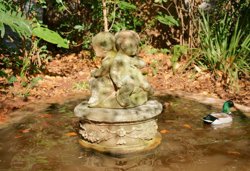 Pensione Foxwood House 9