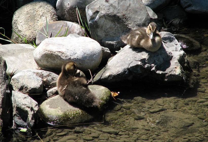 Ambleside Luxury Bed & Breakfast South Island