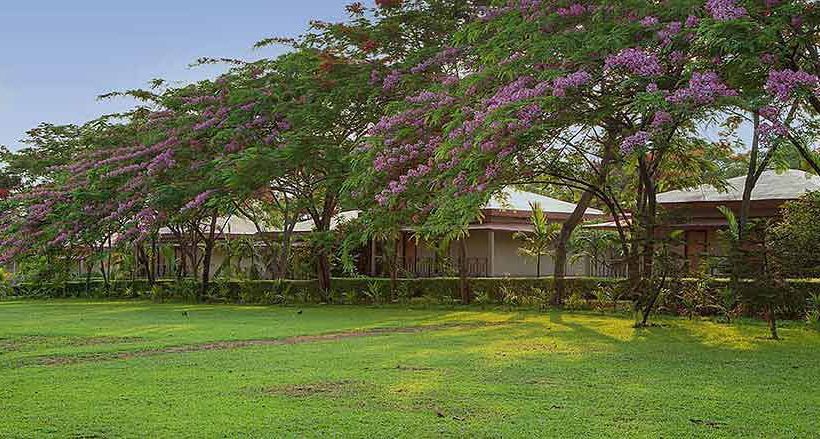 Resort Sinclairs Retreat Dooars 4