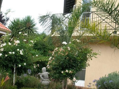 Pension Elizabeth Lodge 9