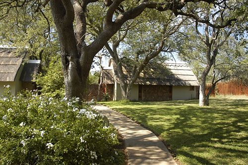 Hotel Thornybush Game Lodge 16